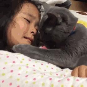 原来养猫有7个好处,原来养猫这么赚钱