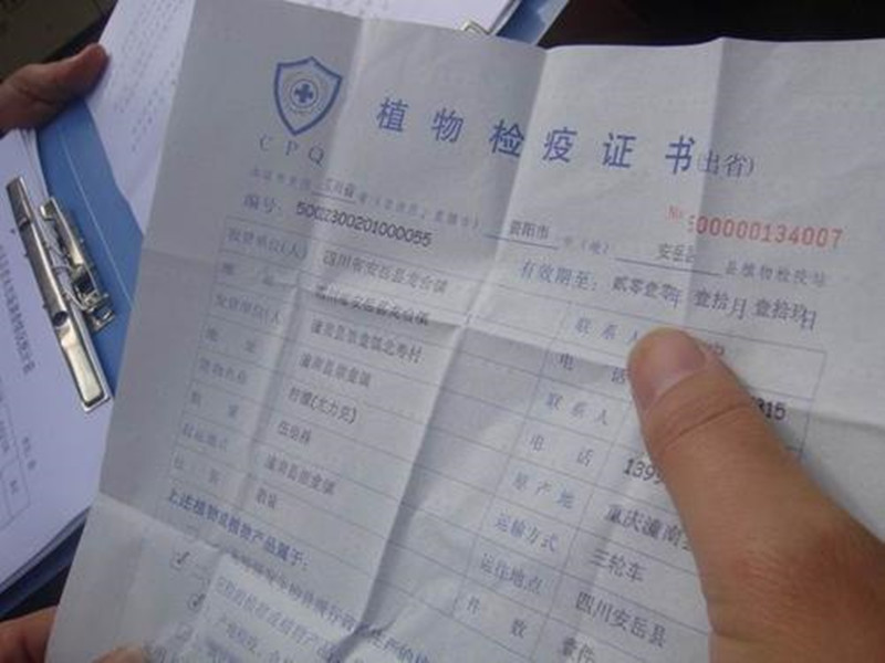 苗木一签两证,苗木两证一签什么意思