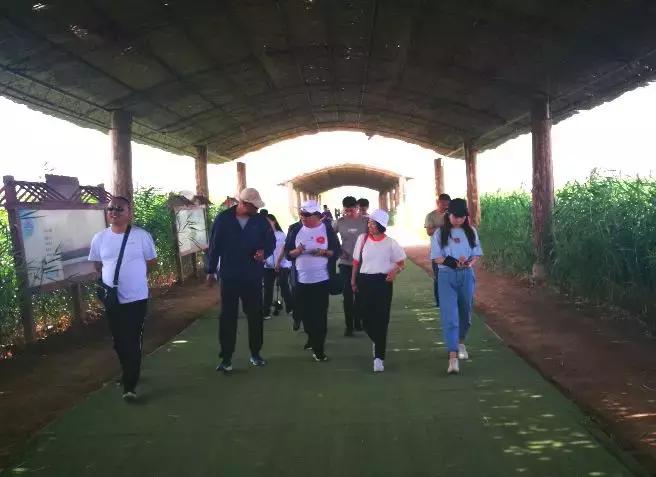 美不美看山水的视频,美不美看河水