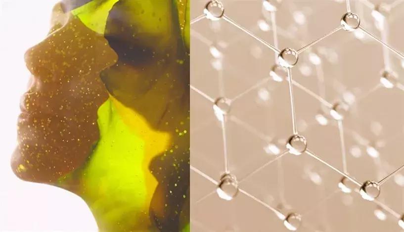 资生堂抗皱小雷达是哪个系列,资生堂的抗皱雷达好用吗