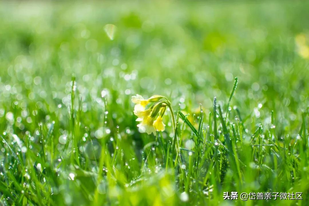 诗圣杜甫传世名作50首第一部分,诗圣杜甫流传千古的经典名句
