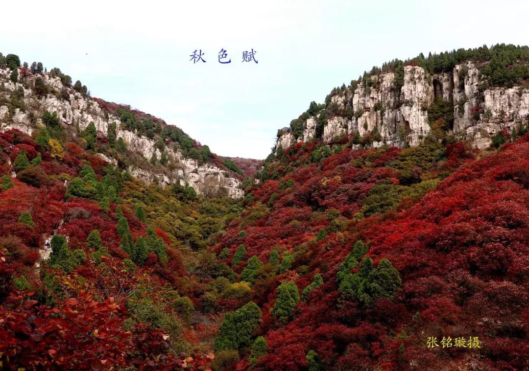 临朐石门坊风景区介绍视频,临朐石门坊风景区海拔