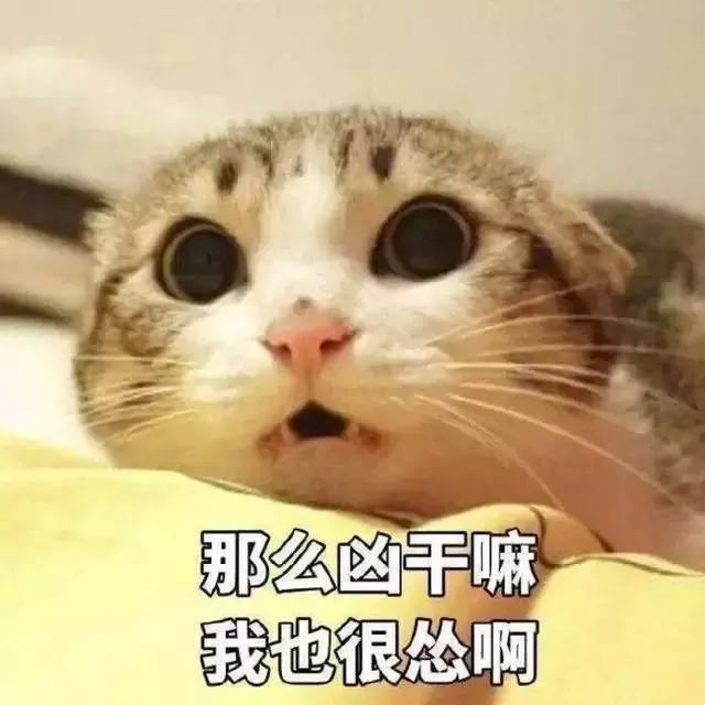 千万别跟风再买的单品,这些单品千万别买