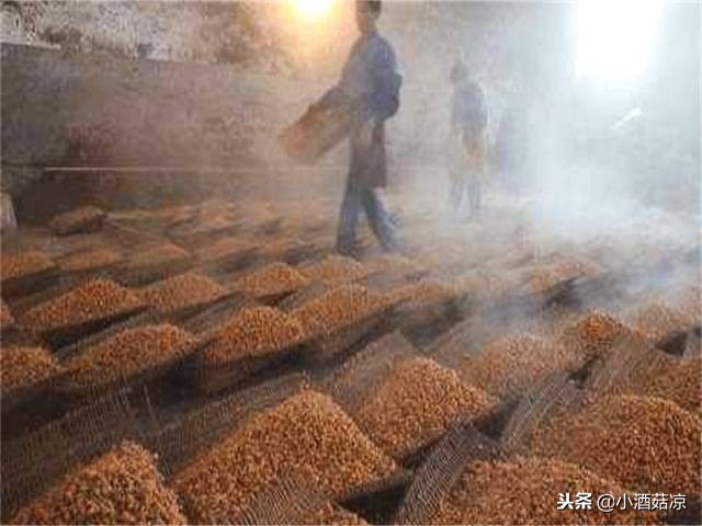 米香白酒的酿造工艺流程,白酒的酿制方法过程