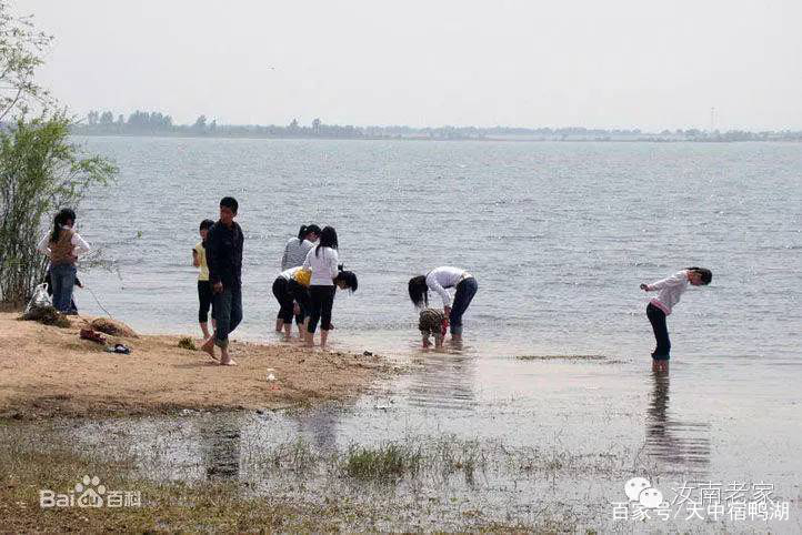 宿鸭湖事忆（一）（二）