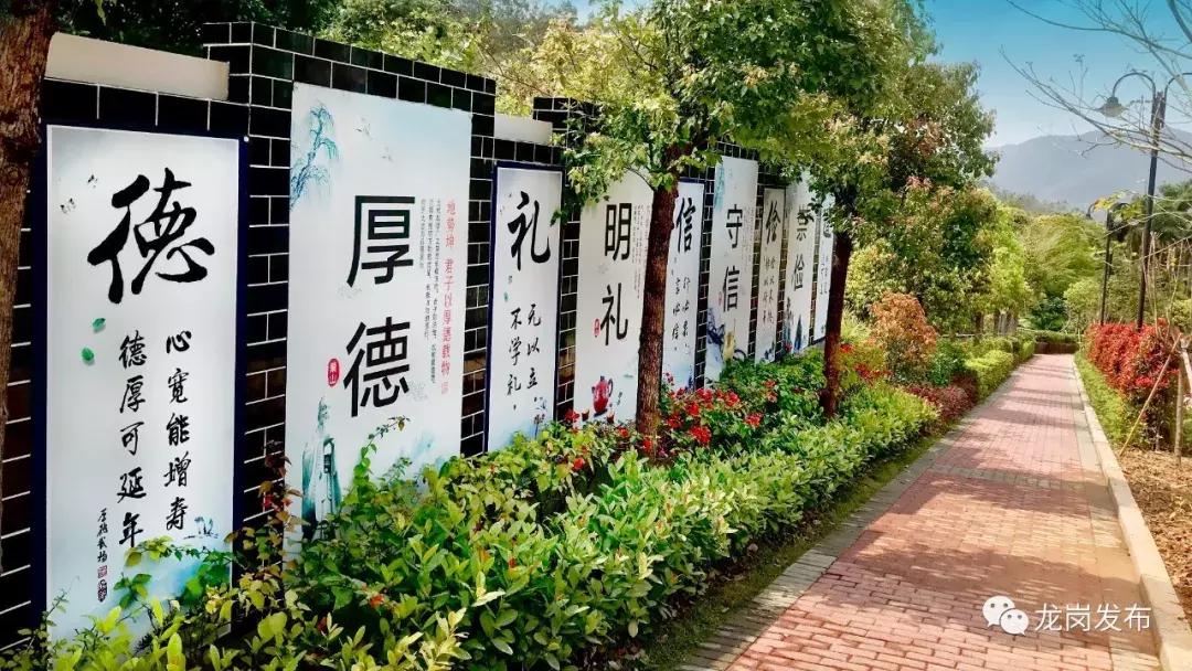 春天该很好，倘若你在场！龙岗最“花心”的地方是……