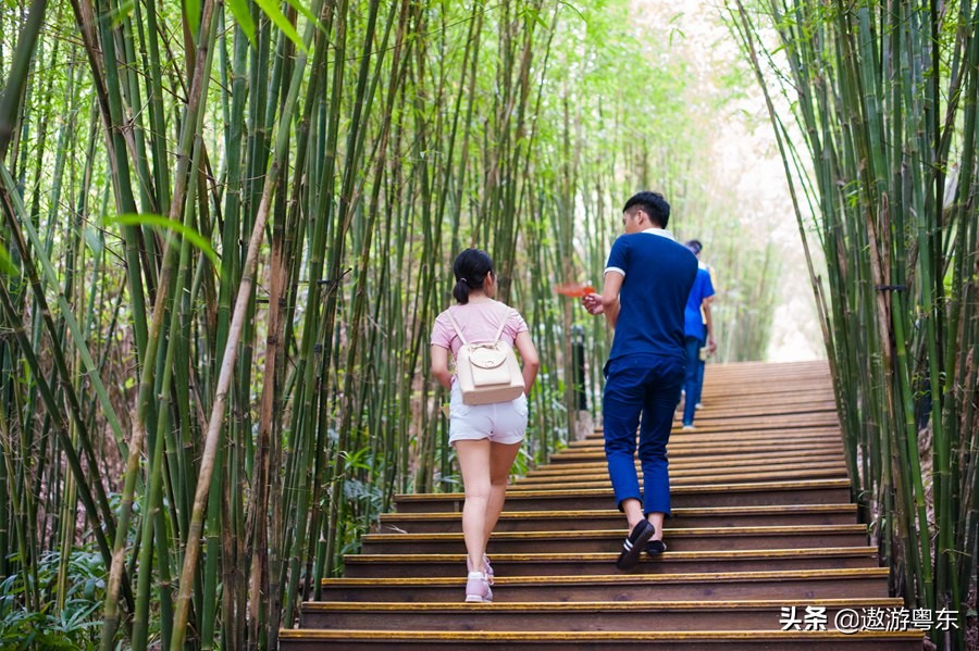 深圳东部华侨城大峡谷附近酒店,深圳东部华侨城大峡谷旅游攻略