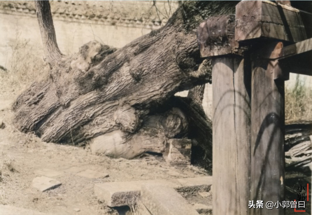 新宾永陵镇六七十年代照片,抚顺市新宾永陵的视频