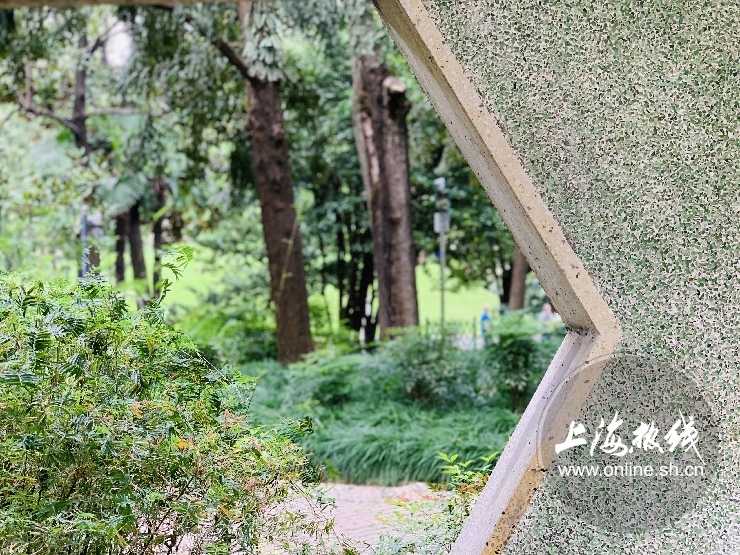 上海徐家汇公园特点,上海徐家汇公园看点