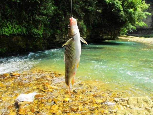 野钓还是传统钓好,野钓选择位置