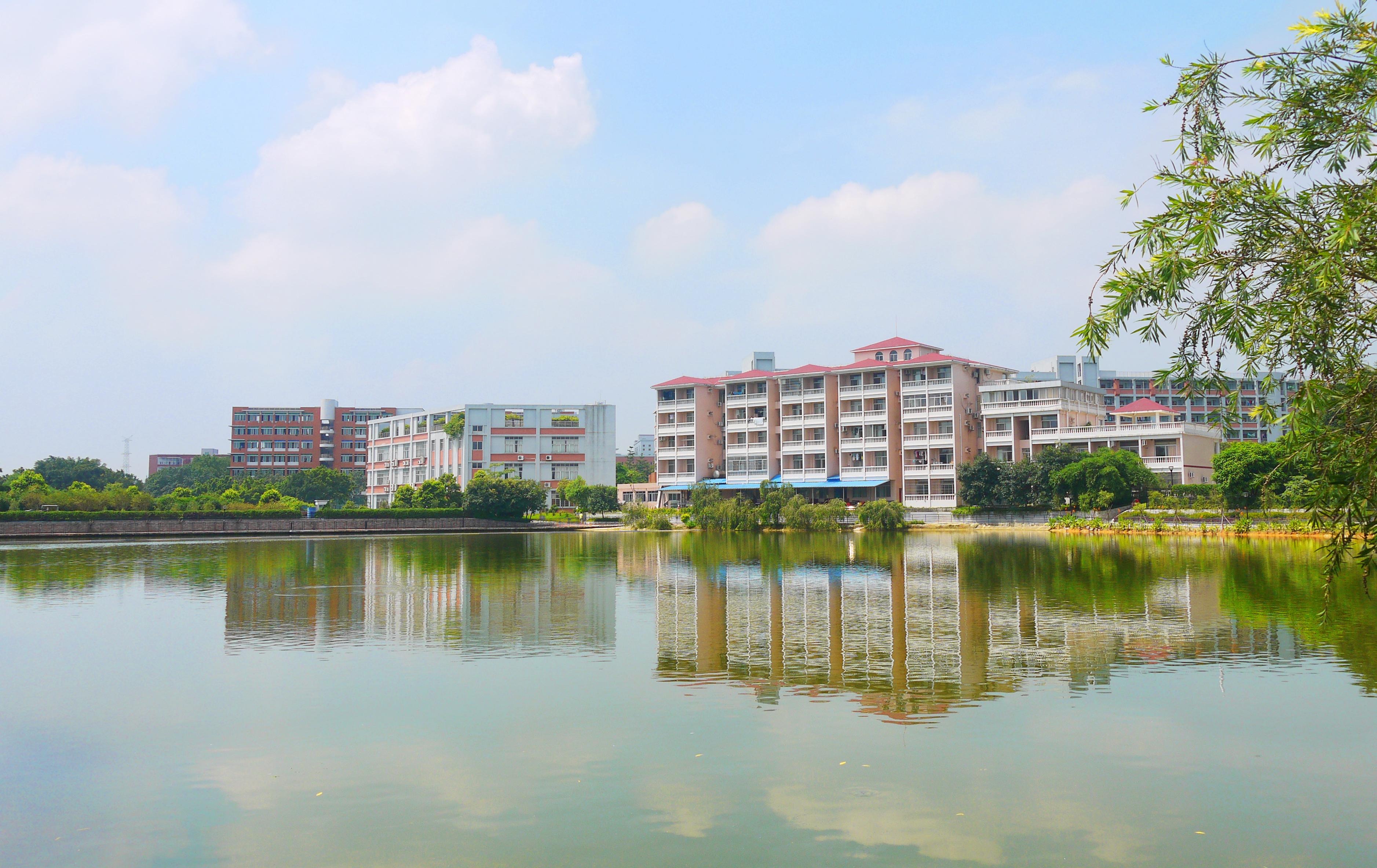 广州康大工作技术学院就业,广州康大工作技术学院护理学院