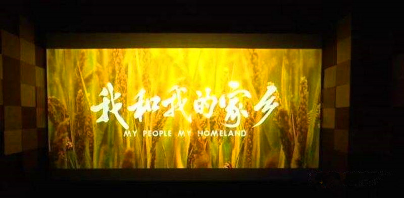 我和我的家乡电影心得简介,电影我和我的家乡推荐