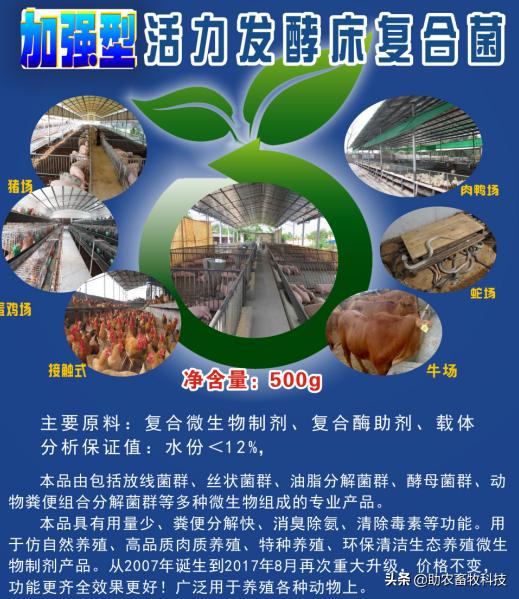 养牛场发酵垫料养殖技术,养牛发酵床用什么垫料最好