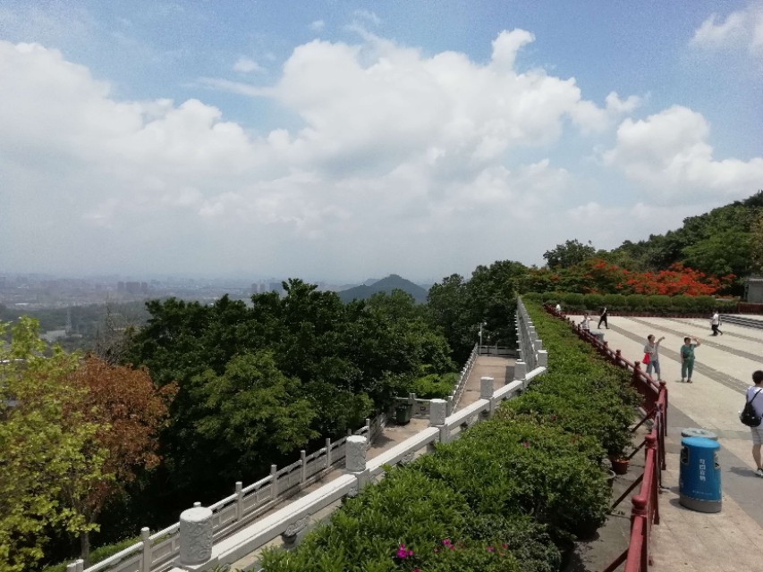 春暖花开的季节,春暖花开的季节歌名