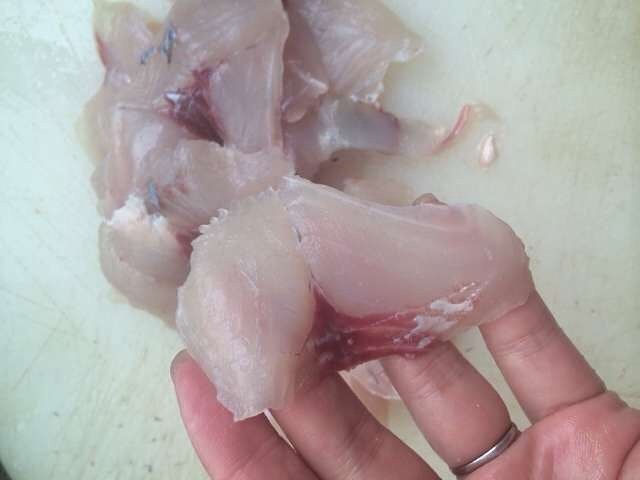 27道米其林餐厅的菜,27种美味食物