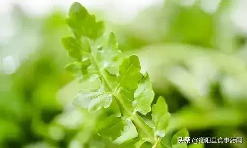 衡阳市食品安全监管局,衡阳县食品安全监管