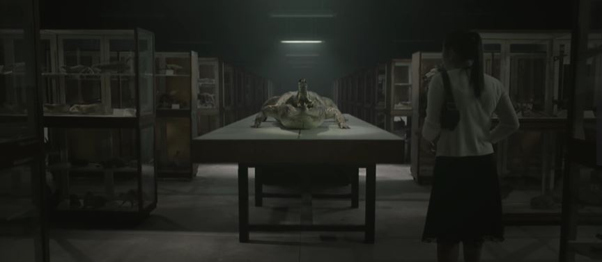 泰国十大恐怖电影解说,泰国十大降头恐怖电影