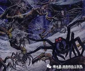 中土世界蜘蛛怎么拼图,中土世界大蜘蛛