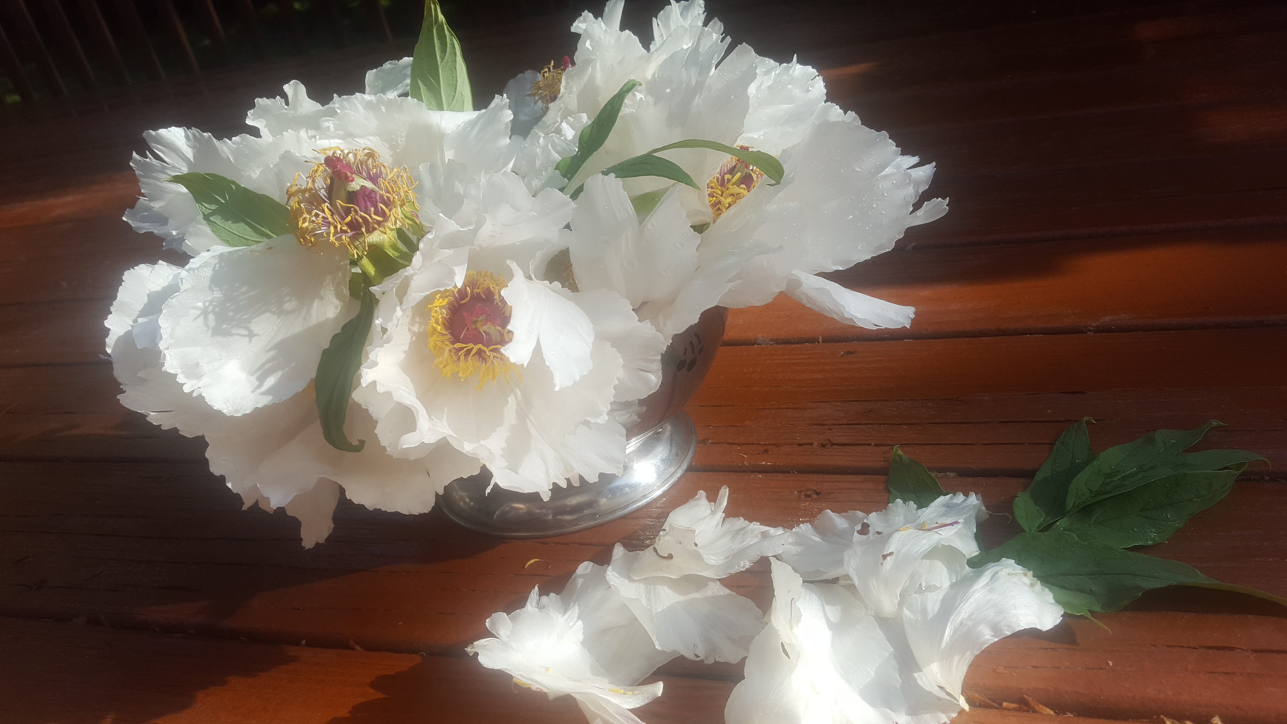 花间词祖温庭筠传,花间语原作