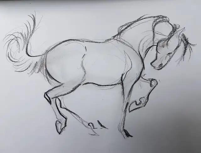 速写简笔画马,画速写不需要临摹