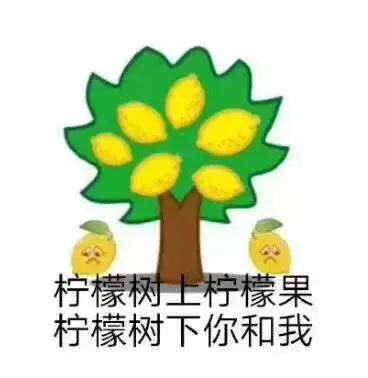 2022年深圳最赚钱的行业,马明老板创业经历