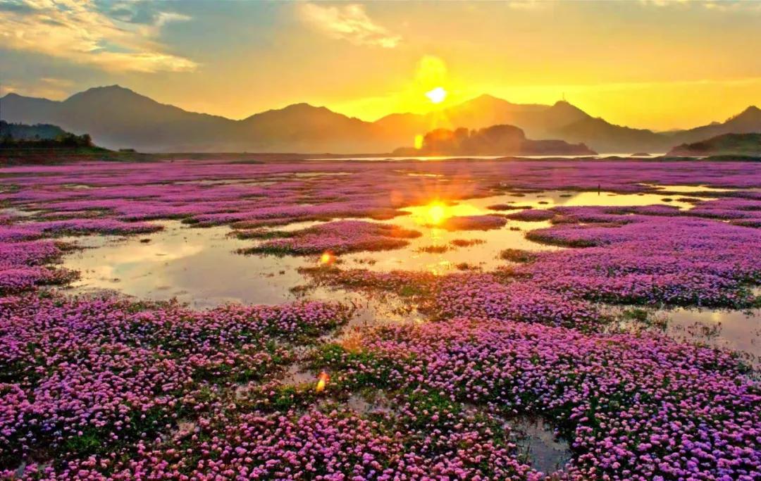 太平湖风景如画心旷神怡,太平湖风景如画