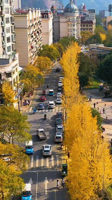 我国唯一能用欧元的城市,我国唯一可以使用欧元的小镇