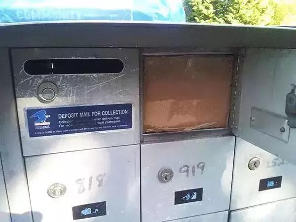 外国人羡慕中国治安有多好,为什么外国人羡慕中国男人