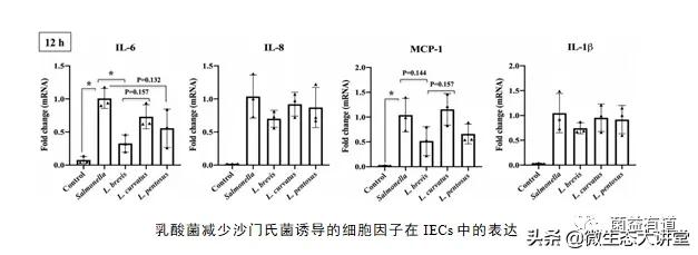乳酸菌治疗肠炎吗,沙门氏菌感染吃益生菌管用吗