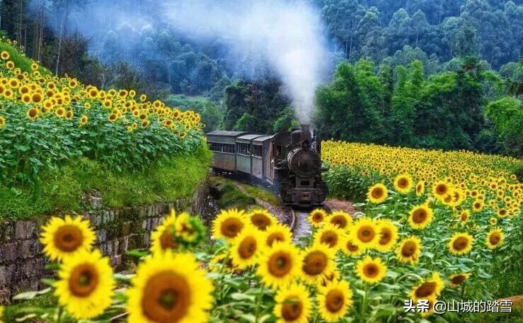 乐山嘉阳小火车值得去吗,嘉阳小火车与乐山大佛相隔多远