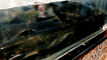 齐祺渔锅被举报,齐祺渔锅99元套餐新乡