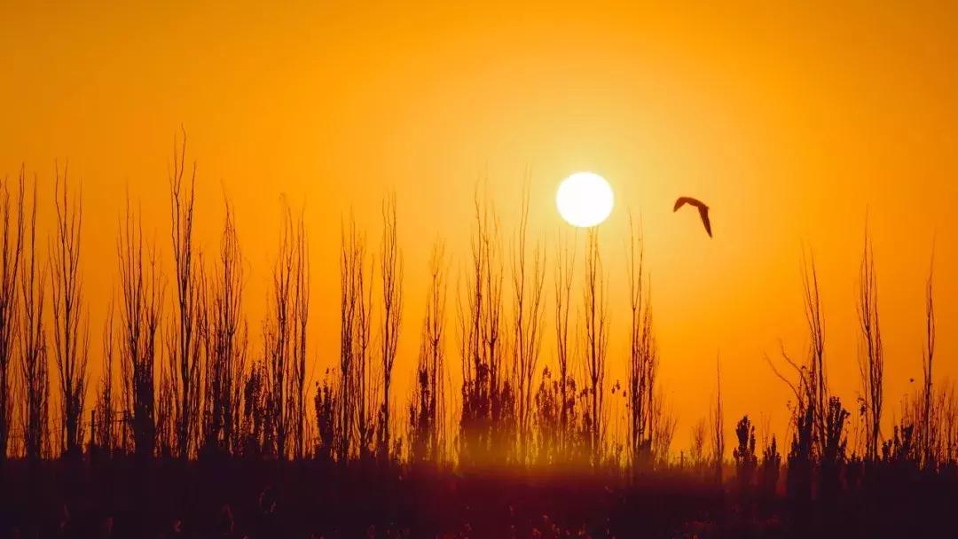 新疆的北疆和南疆哪个更美,北疆新疆之美