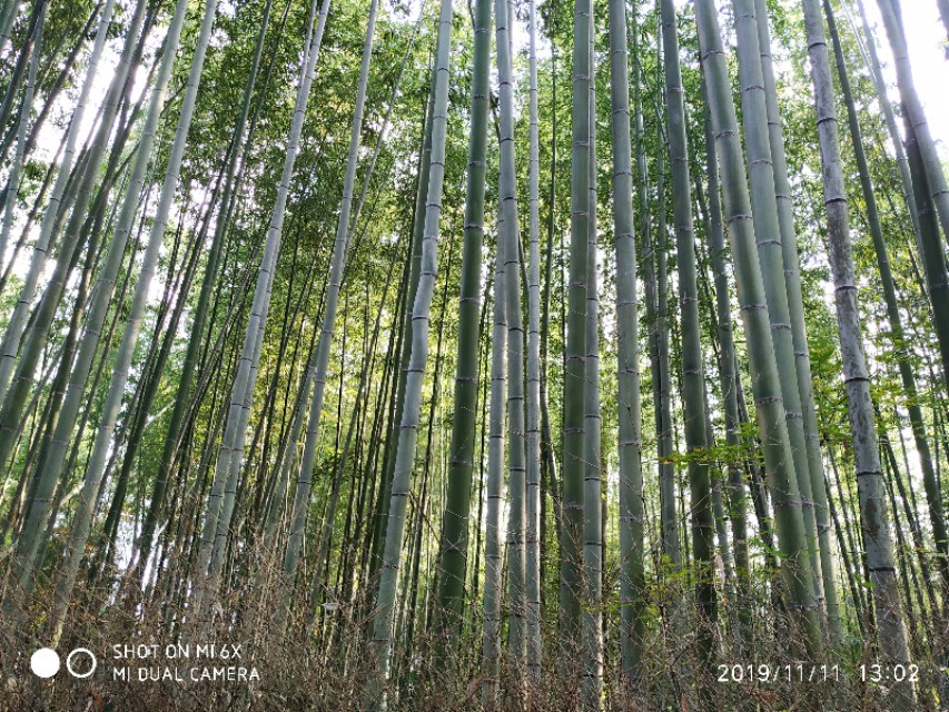 日本关西旅游14天,关西14天旅行攻略