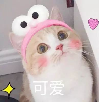 被学生吐槽最多的中医大老校区，没想到还是个“宝藏地”