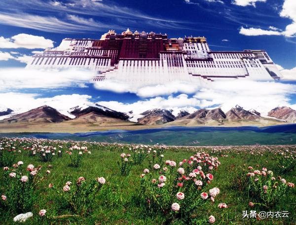 内衣行业怎样做私域营销,旅游内衣攻略