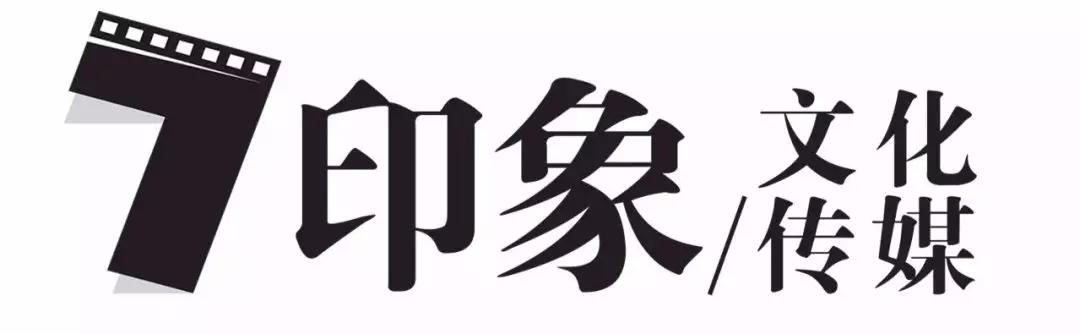 长文整理|45家剧集公司2019年度成绩单