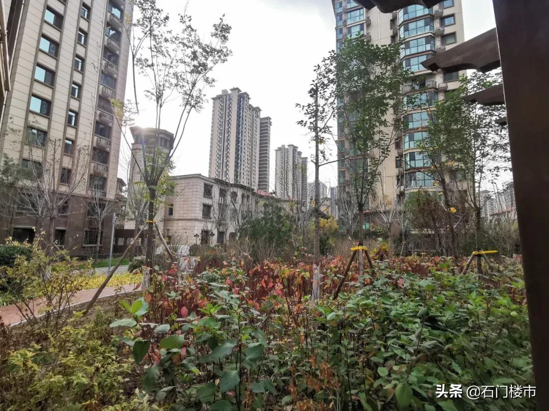 近30天逾350人看房！洋味足却有bug！中介说：采光不太好