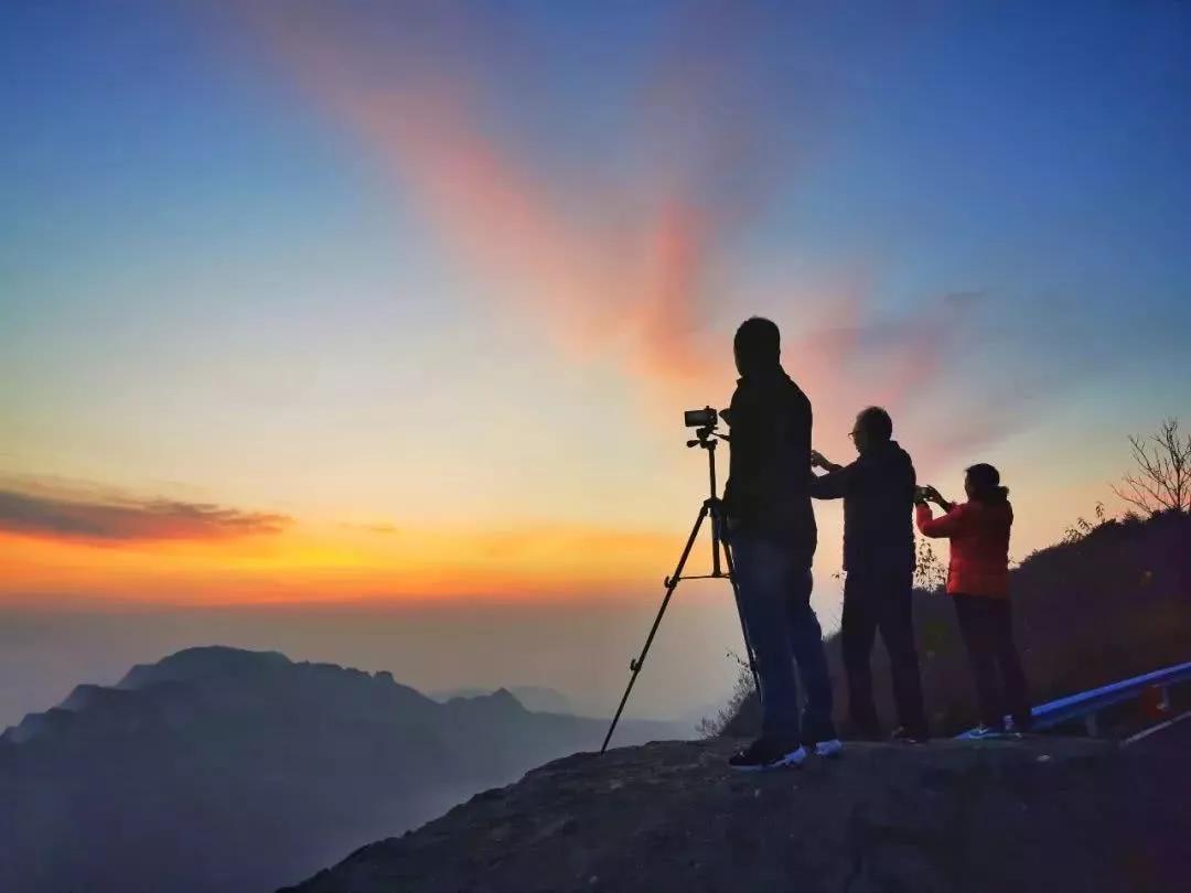 大自然的规律和启示,大自然的预知能力