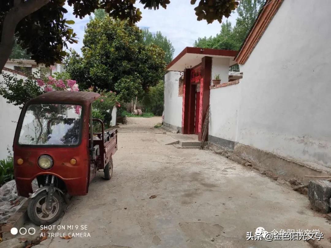 我的乐园作文指导,游迪士尼乐园作文