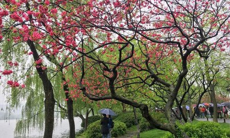 浜曞唸绾㈠鐪熷疄鐓х墖,浜曞唸绾㈠鏄摢閲屼汉