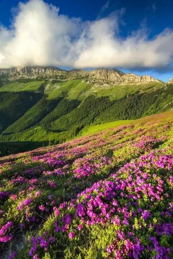 你无法拒绝的10个东欧国家,十大最便宜的东欧国家