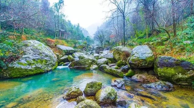 吐鲁番的葡萄熟了的景色,吐鲁番的葡萄熟了美丽的风景