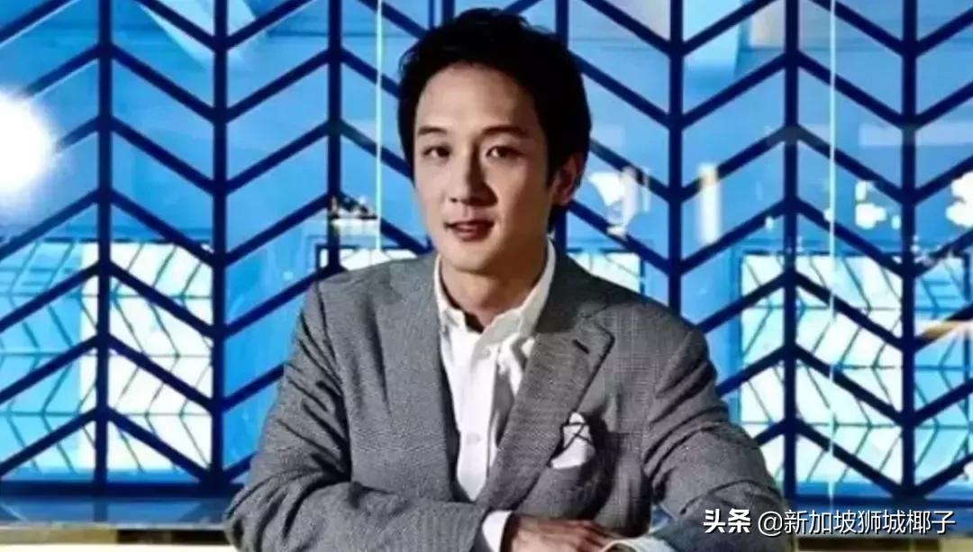 新加坡前十公司,新加坡十大公司排行榜