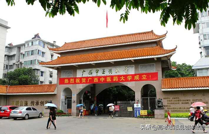 南方医科大学中医学科评估,中医学科排行榜前十名