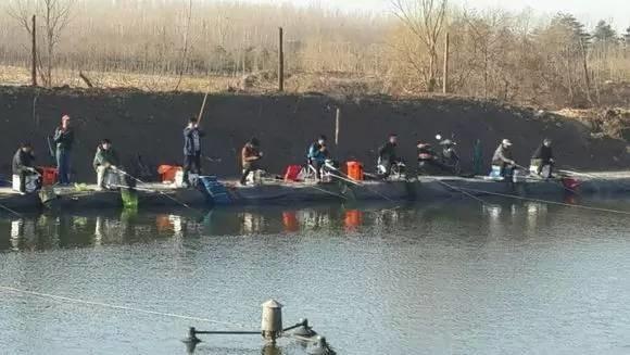 串钩筏竿钓底最灵敏的方法,筏竿串钩钓鲫鱼小技巧