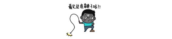 word表格太宽横向打印不全,表格太宽怎么打印在一页