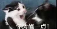 奥利司他排出油但不瘦,奥利司他胶囊怎么排出脂肪