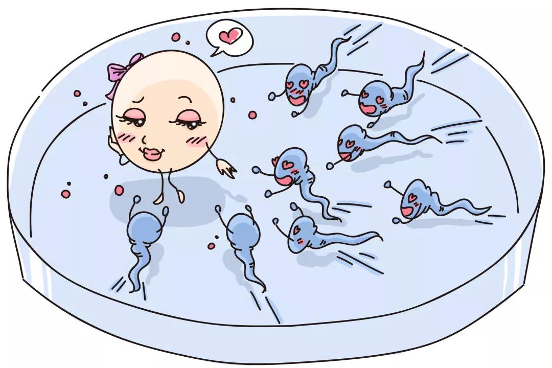 精子总数少于多少算少精子症,男性精子少