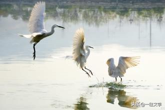 苏轼六首词引来人生六大感悟,苏轼最经典的10句诗