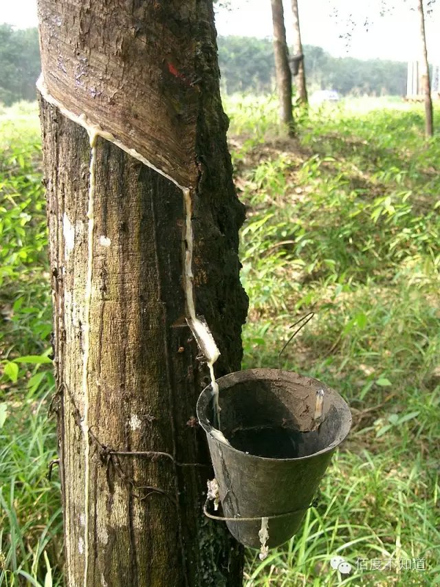goodyear固特异轮胎优缺点,goodyear固特异轮胎